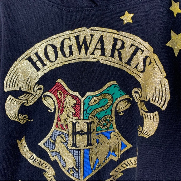 Harry Potter Glittery Hogwarts Crest Hooded Sweatshirt - Picture 2 of 11